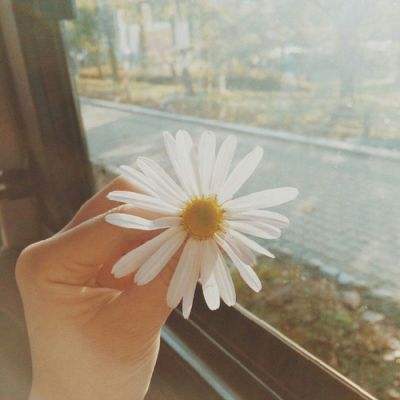 江南APPapp下载截图